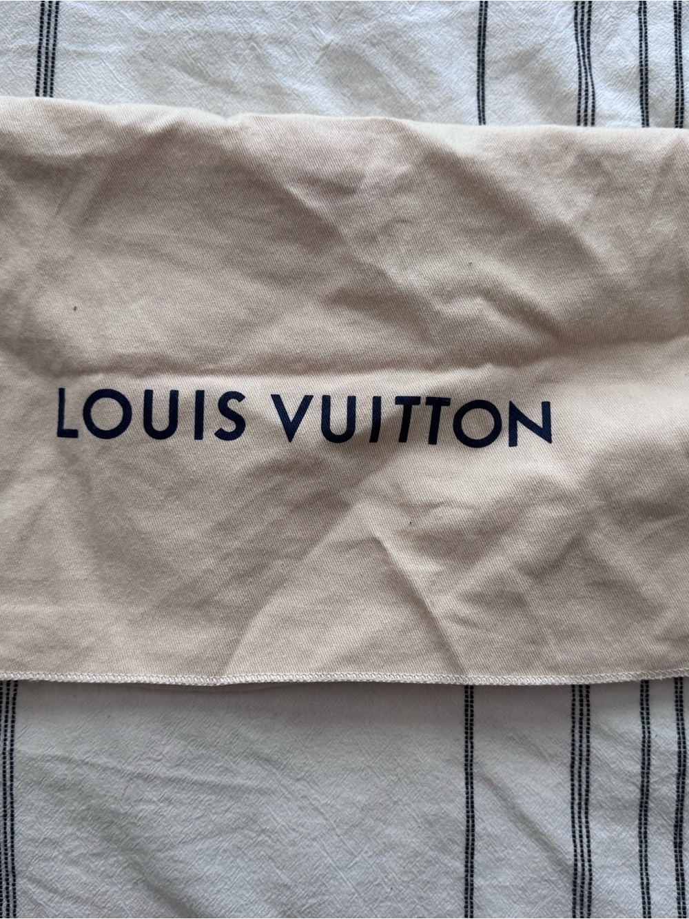 Louis Vuitton dustbag